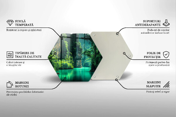 Protection plaque induction Paysage lagon