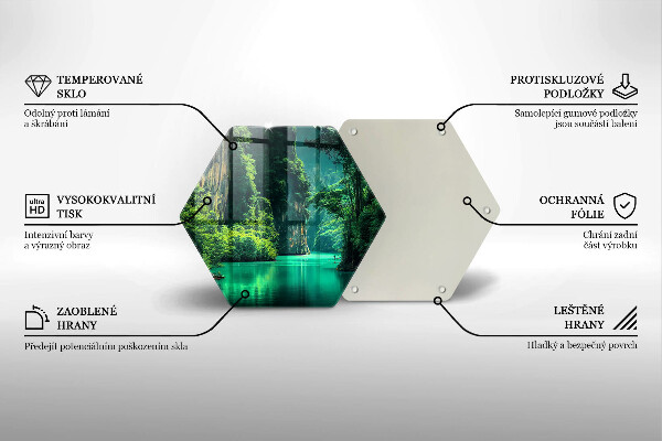 Protection plaque induction Paysage lagon