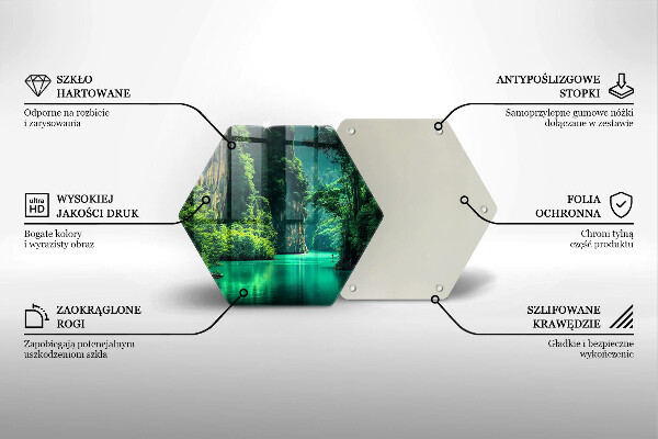 Protection plaque induction Paysage lagon