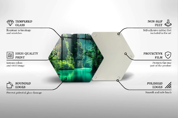 Protection plaque induction Paysage lagon