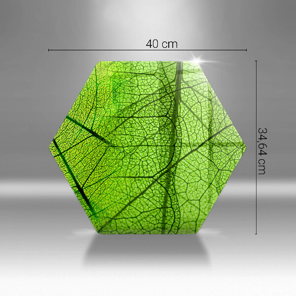 Cache plaque de cuisson Nervures des feuilles naturelles