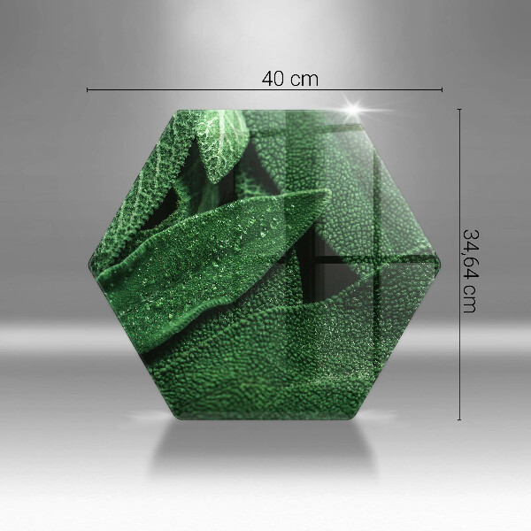 Cache plaque de cuisson Les feuilles de la plante