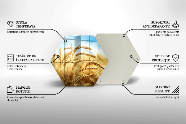 Protection plaque induction Épis de céréales dans le champ