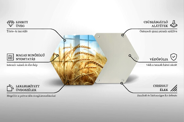 Protection plaque induction Épis de céréales dans le champ