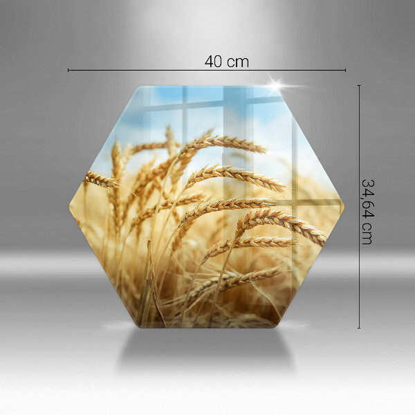 Protection plaque induction Épis de céréales dans le champ