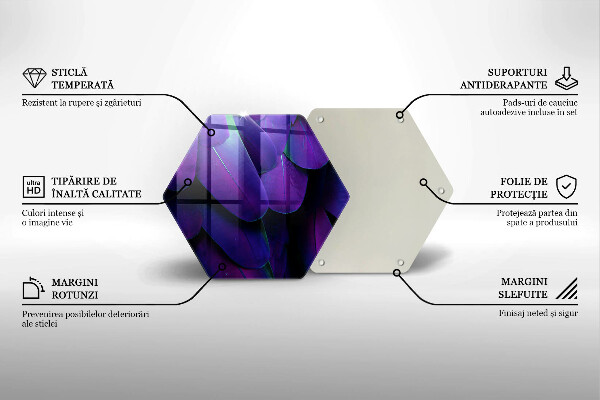 Protection plaque induction Plumes de néon