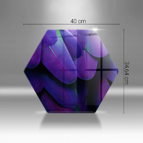 Protection plaque induction Plumes de néon