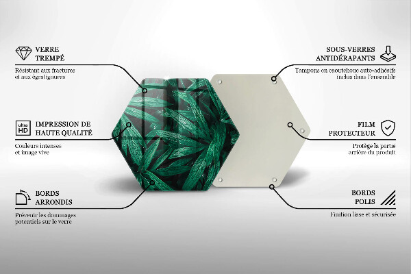 Protection plaque induction Feuilles de plantes