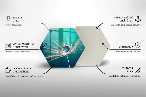 Protection plaque induction Rosée sur un pissenlit