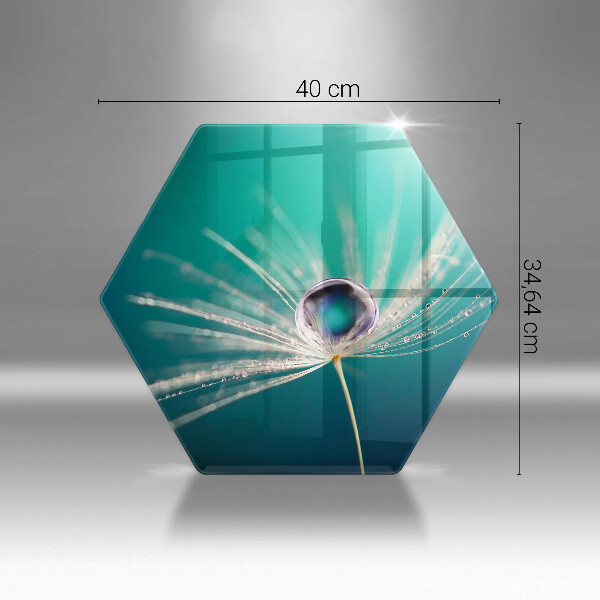 Protection plaque induction Rosée sur un pissenlit