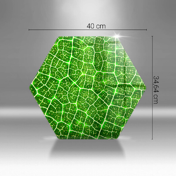 Cache plaque de cuisson Structure des feuilles