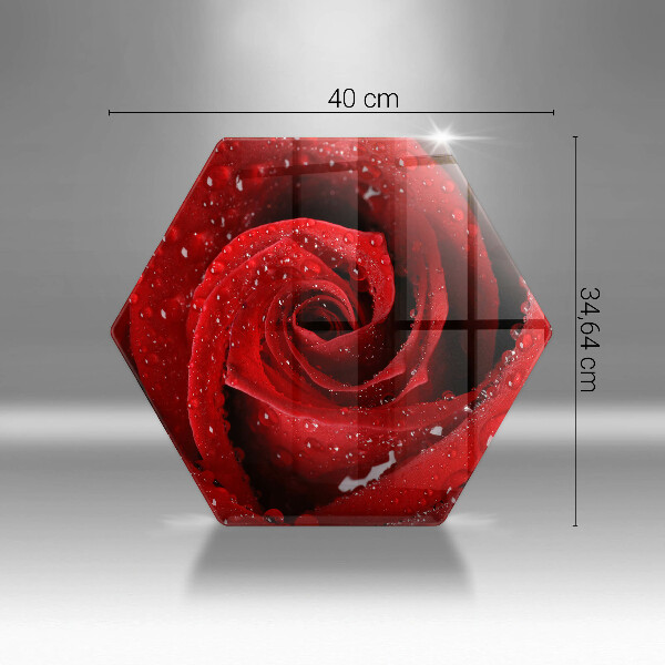 Cache plaque de cuisson Pétales de fleurs de roses