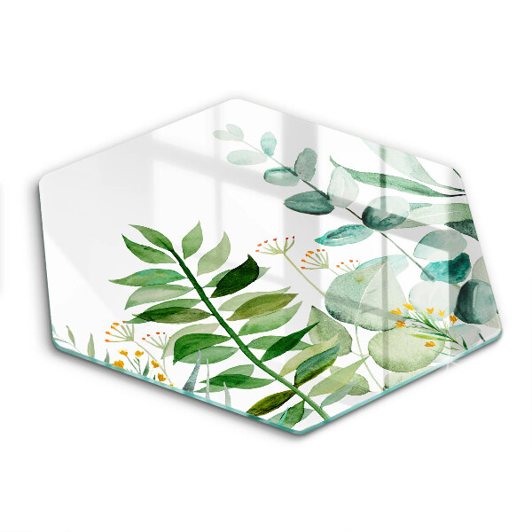 Protection plaque induction Illustration de feuilles de plantes