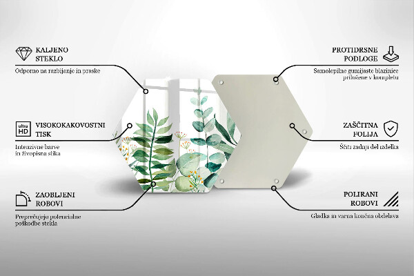 Protection plaque induction Illustration de feuilles de plantes