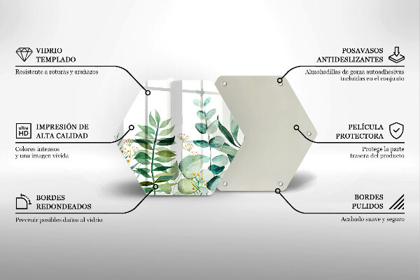 Protection plaque induction Illustration de feuilles de plantes