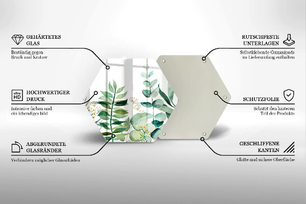 Protection plaque induction Illustration de feuilles de plantes