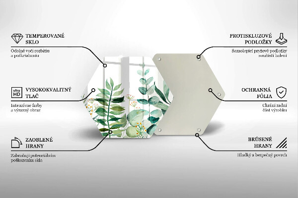 Protection plaque induction Illustration de feuilles de plantes