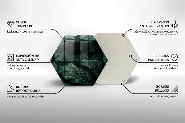 Protection plaque induction Feuilles sombres