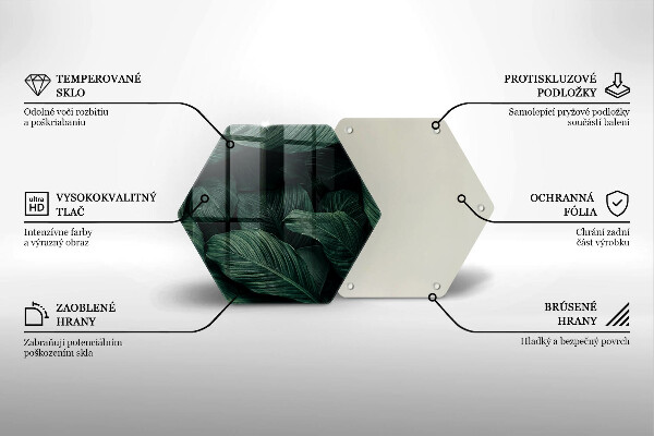 Protection plaque induction Feuilles sombres