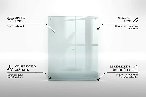 Planche à découper en verre transparent 40x52 cm lot de 2