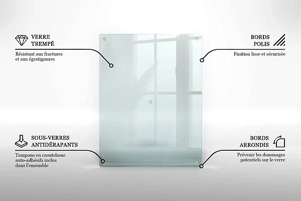 Planche à découper en verre transparent 40x52 cm lot de 2
