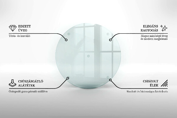 Protection plaque induction transparente 30 cm