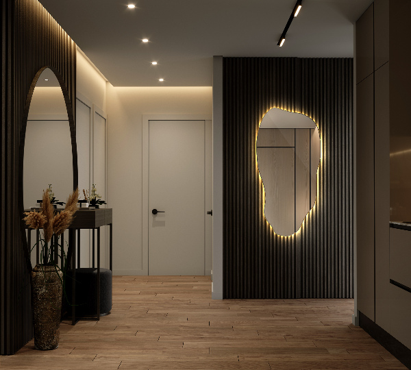 Miroir forme organique led moderne 50x100 cm