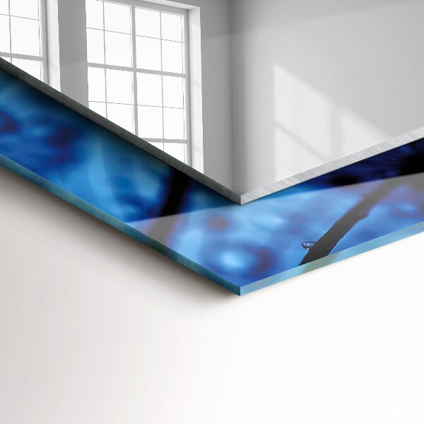 Gouttes d'eau sur éventails