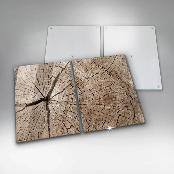 Protection plaque induction Coupe transversale d'un arbre