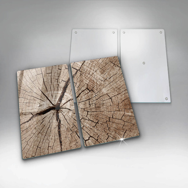 Protection plaque induction Coupe transversale d'un arbre