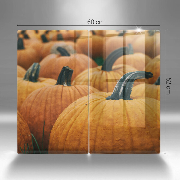 Protection plaque induction Citrouilles