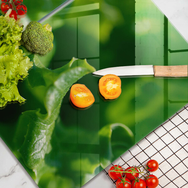 Protection plaque induction Feuilles de laitue