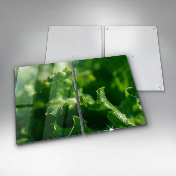 Protection plaque induction Feuilles de laitue