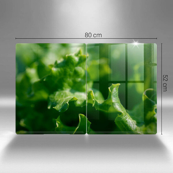 Protection plaque induction Feuilles de laitue