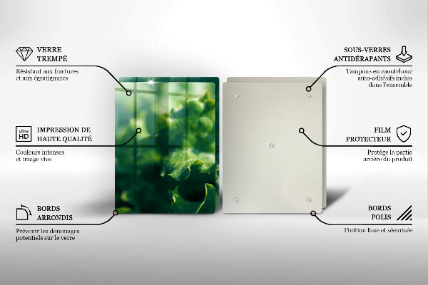 Protection plaque induction Feuilles de laitue