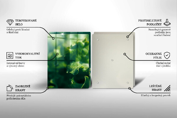 Protection plaque induction Feuilles de laitue