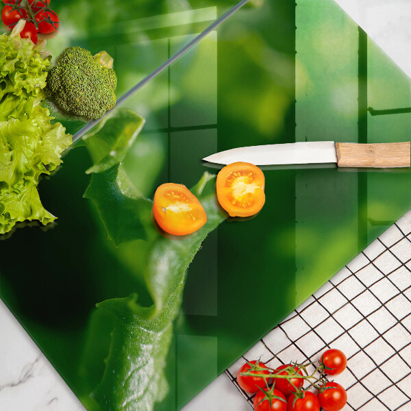 Protection plaque induction Feuilles de laitue