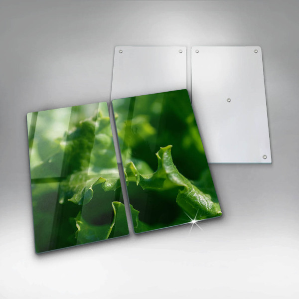 Protection plaque induction Feuilles de laitue