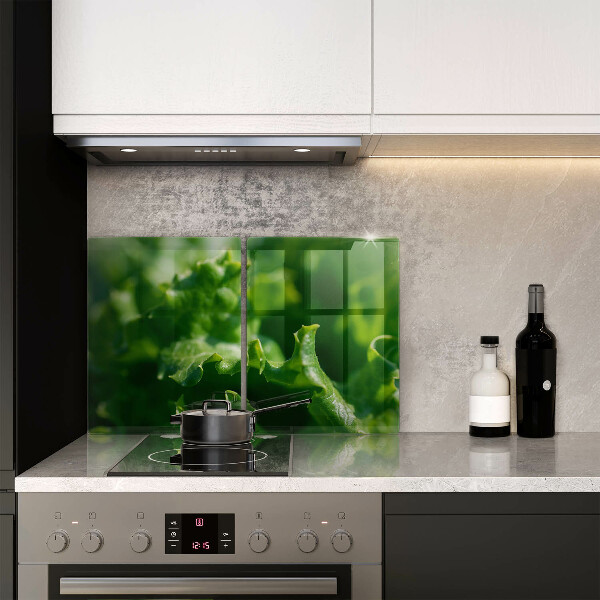 Protection plaque induction Feuilles de laitue