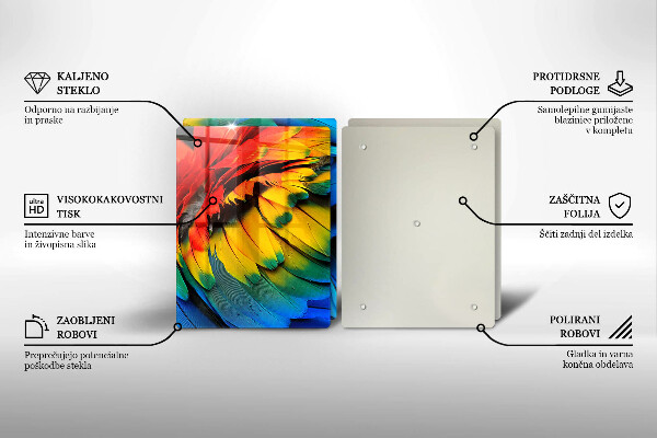 Protection plaque induction Plumes de perroquet colorées