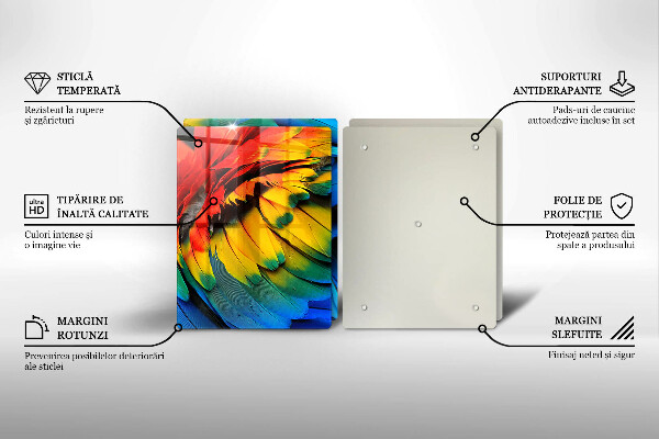 Protection plaque induction Plumes de perroquet colorées