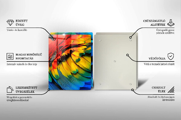 Protection plaque induction Plumes de perroquet colorées