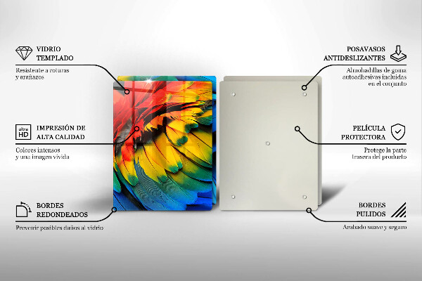 Protection plaque induction Plumes de perroquet colorées