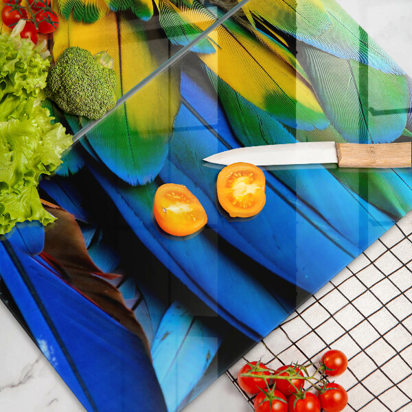 Protection plaque induction Plumes de perroquet colorées