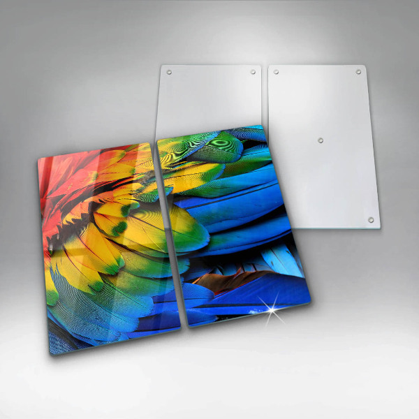 Protection plaque induction Plumes de perroquet colorées