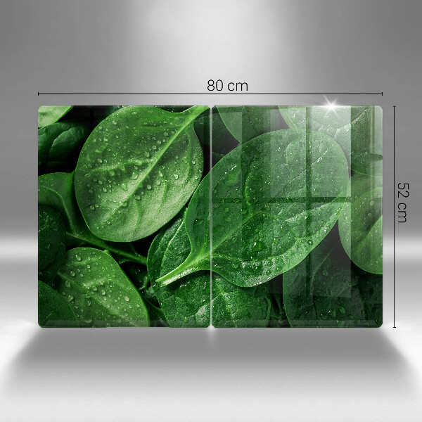 Protection plaque induction Feuilles de basilic