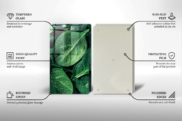 Protection plaque induction Feuilles de basilic