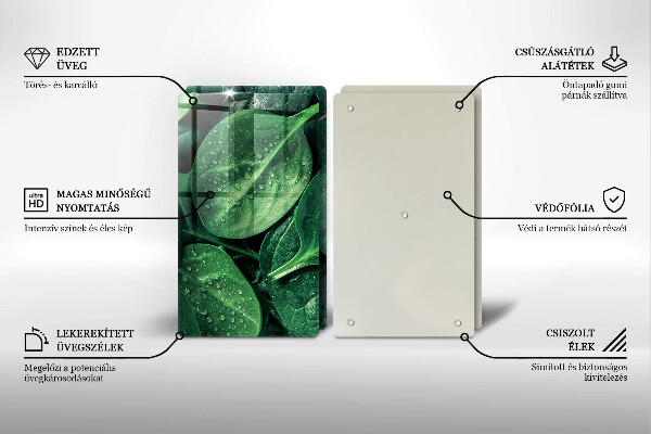 Protection plaque induction Feuilles de basilic