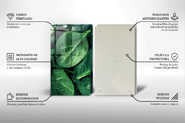 Protection plaque induction Feuilles de basilic