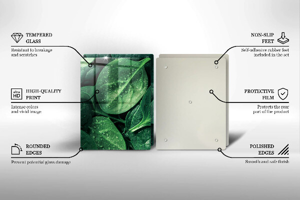 Protection plaque induction Feuilles de basilic